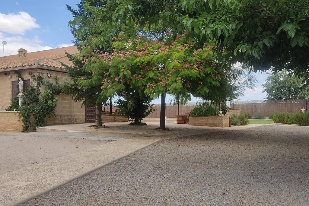 Finca El Pilar Madridejos Eksteriør bilde