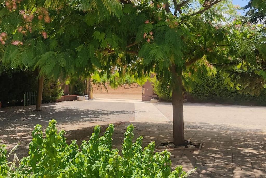 Finca El Pilar Madridejos Eksteriør bilde