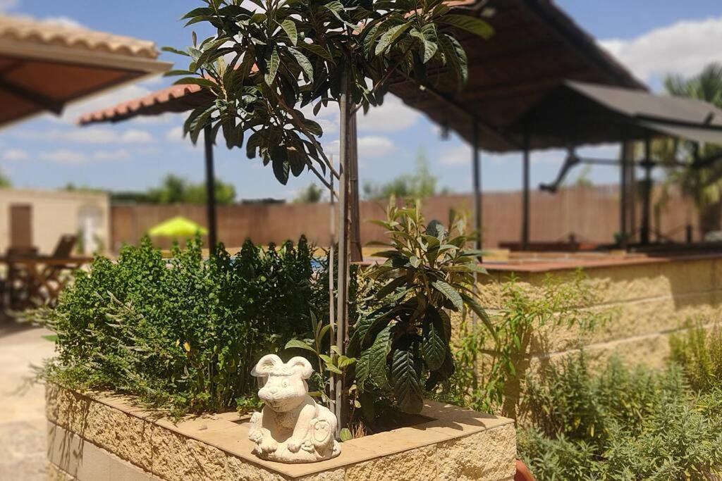 Finca El Pilar Madridejos Eksteriør bilde